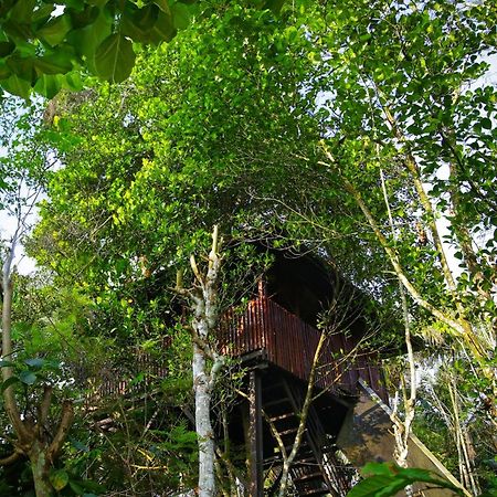 Greens Tree House & Wood House Sultan Bathery Buitenkant foto