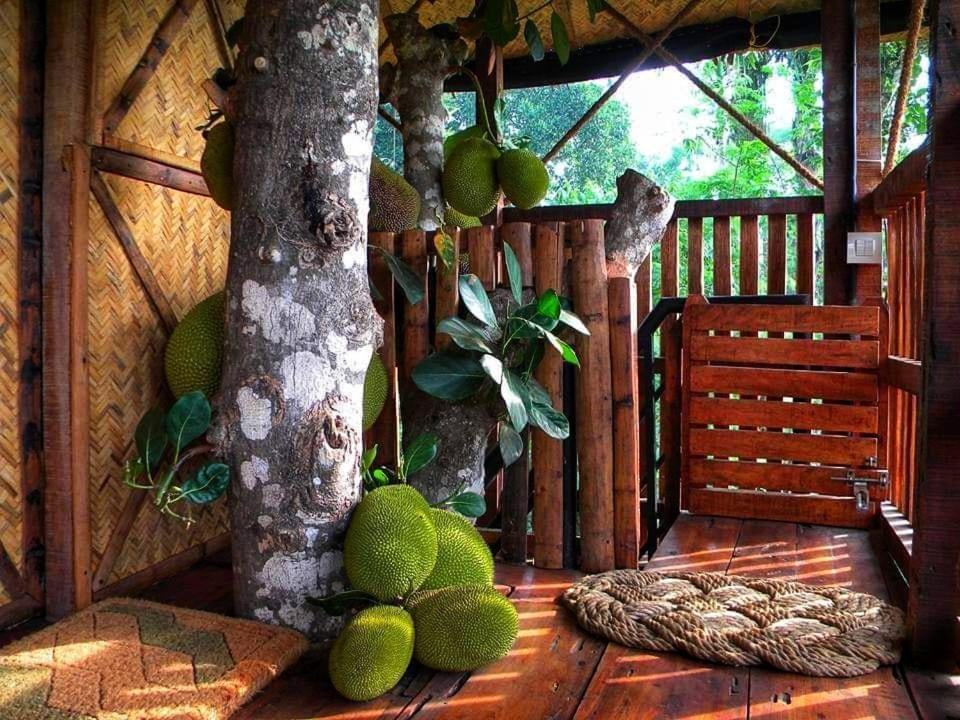Greens Tree House & Wood House Sultan Bathery Buitenkant foto