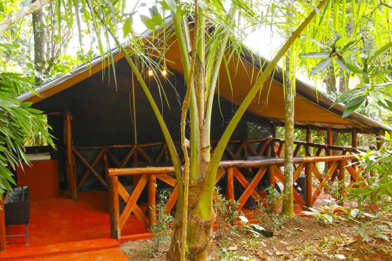 Greens Tree House & Wood House Sultan Bathery Buitenkant foto