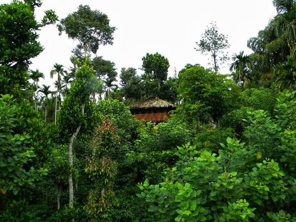 Greens Tree House & Wood House Sultan Bathery Buitenkant foto