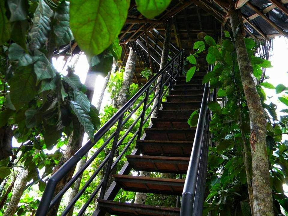 Greens Tree House & Wood House Sultan Bathery Buitenkant foto