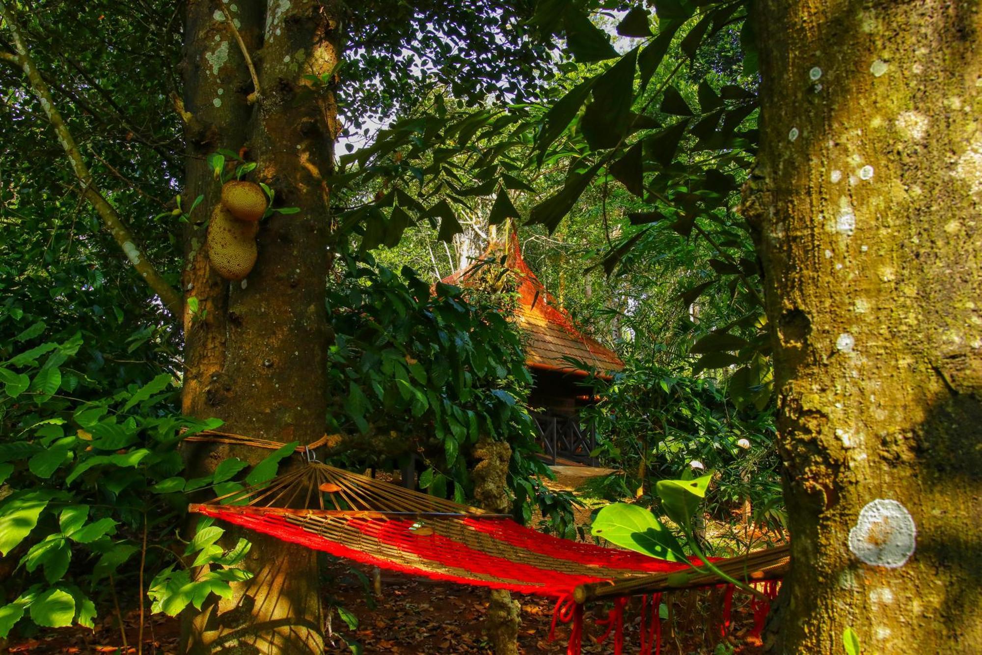 Greens Tree House & Wood House Sultan Bathery Buitenkant foto