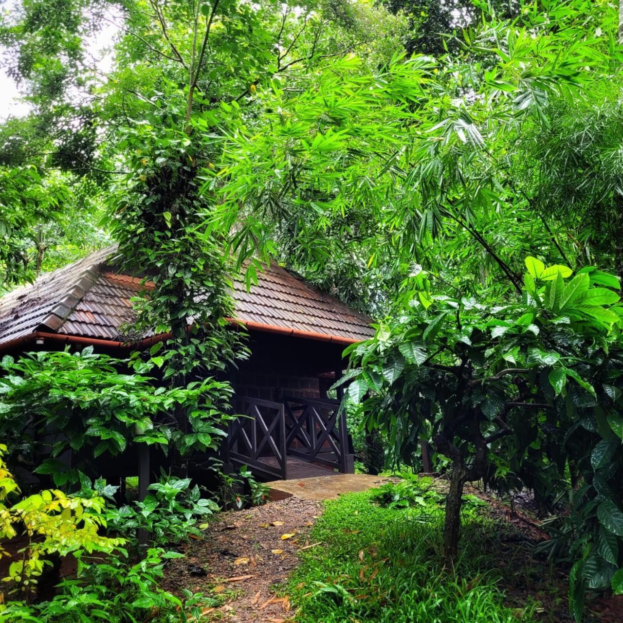 Greens Tree House & Wood House Sultan Bathery Buitenkant foto