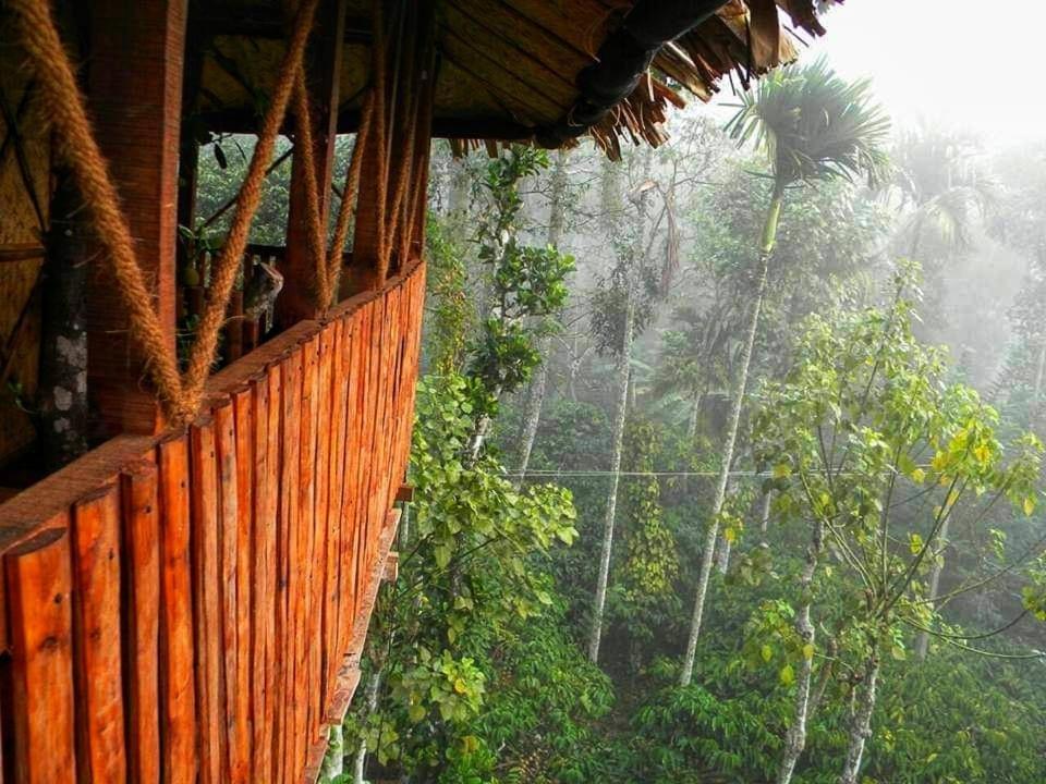 Greens Tree House & Wood House Sultan Bathery Buitenkant foto