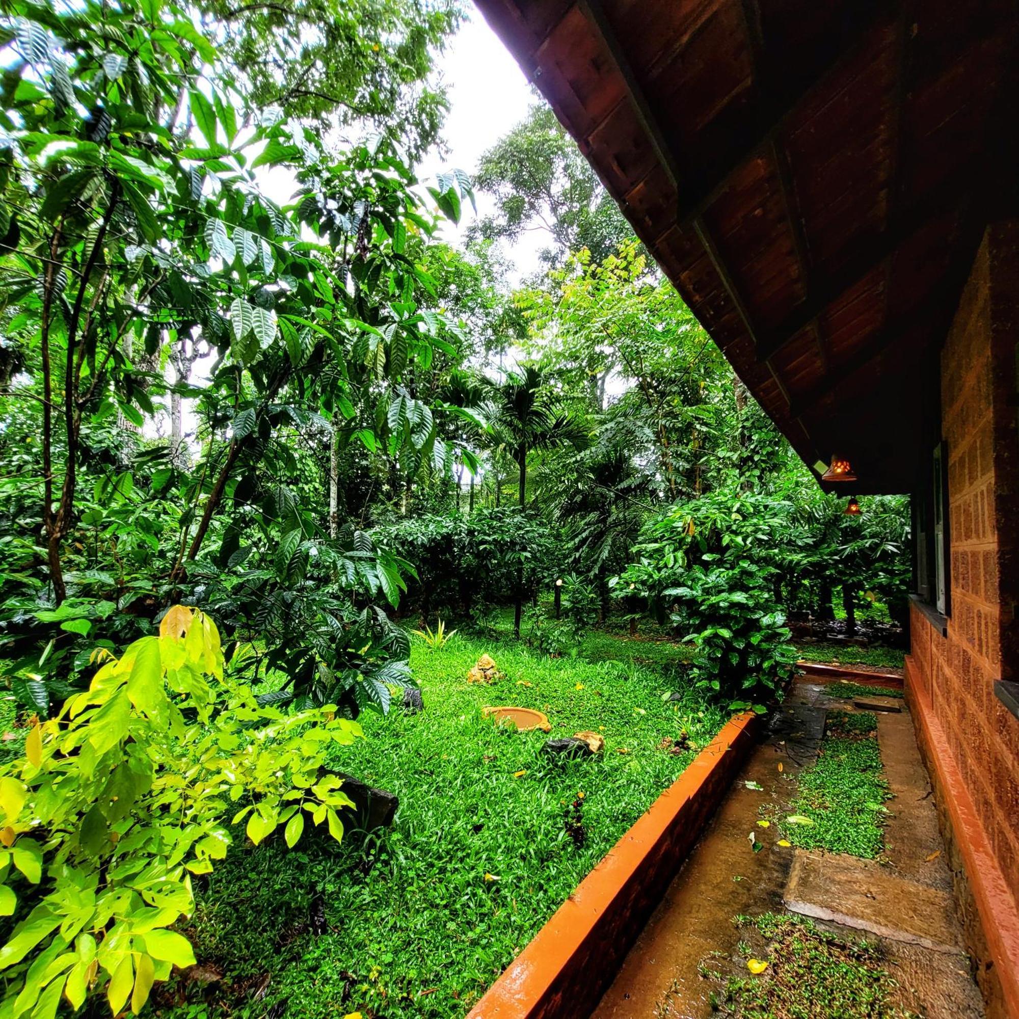 Greens Tree House & Wood House Sultan Bathery Buitenkant foto