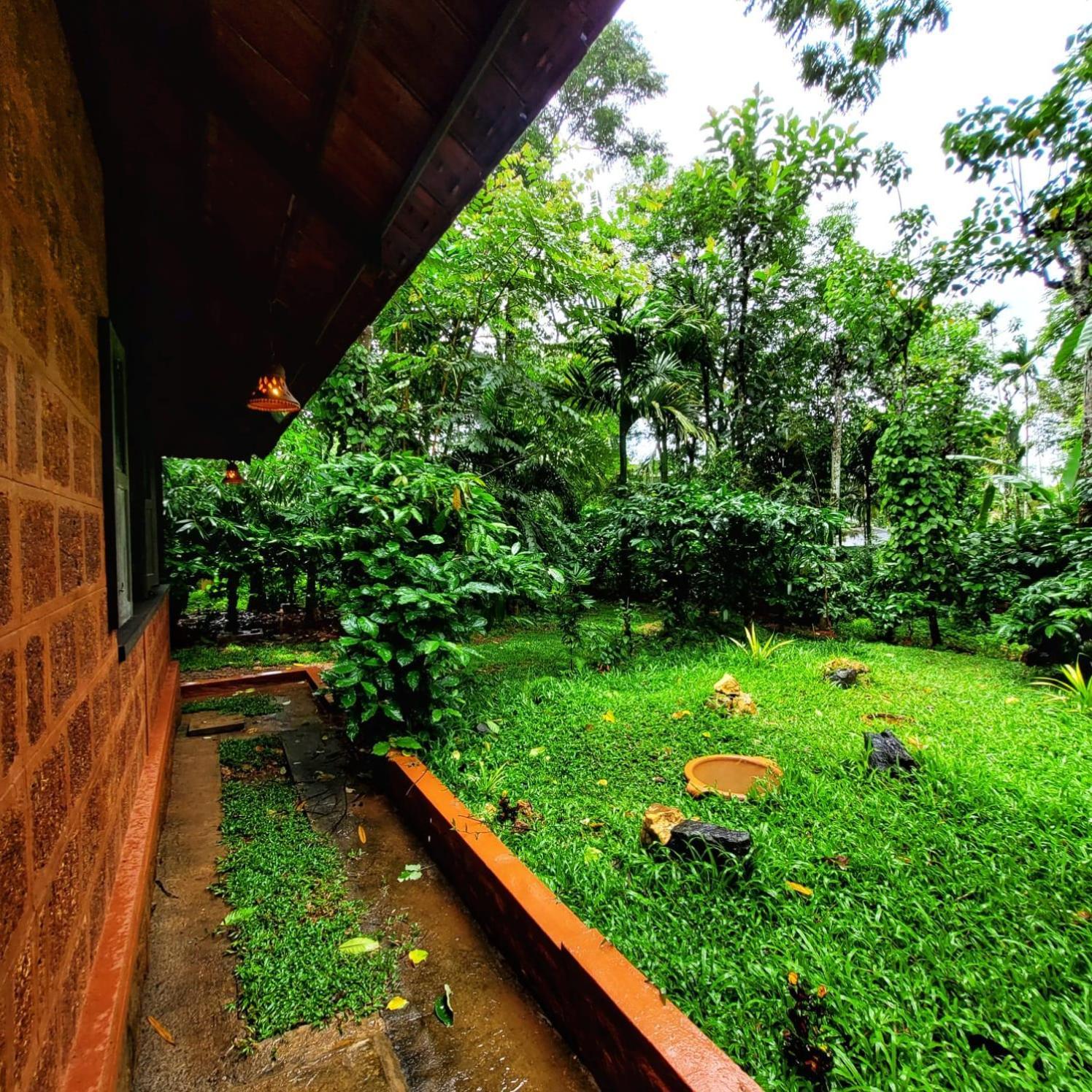 Greens Tree House & Wood House Sultan Bathery Buitenkant foto