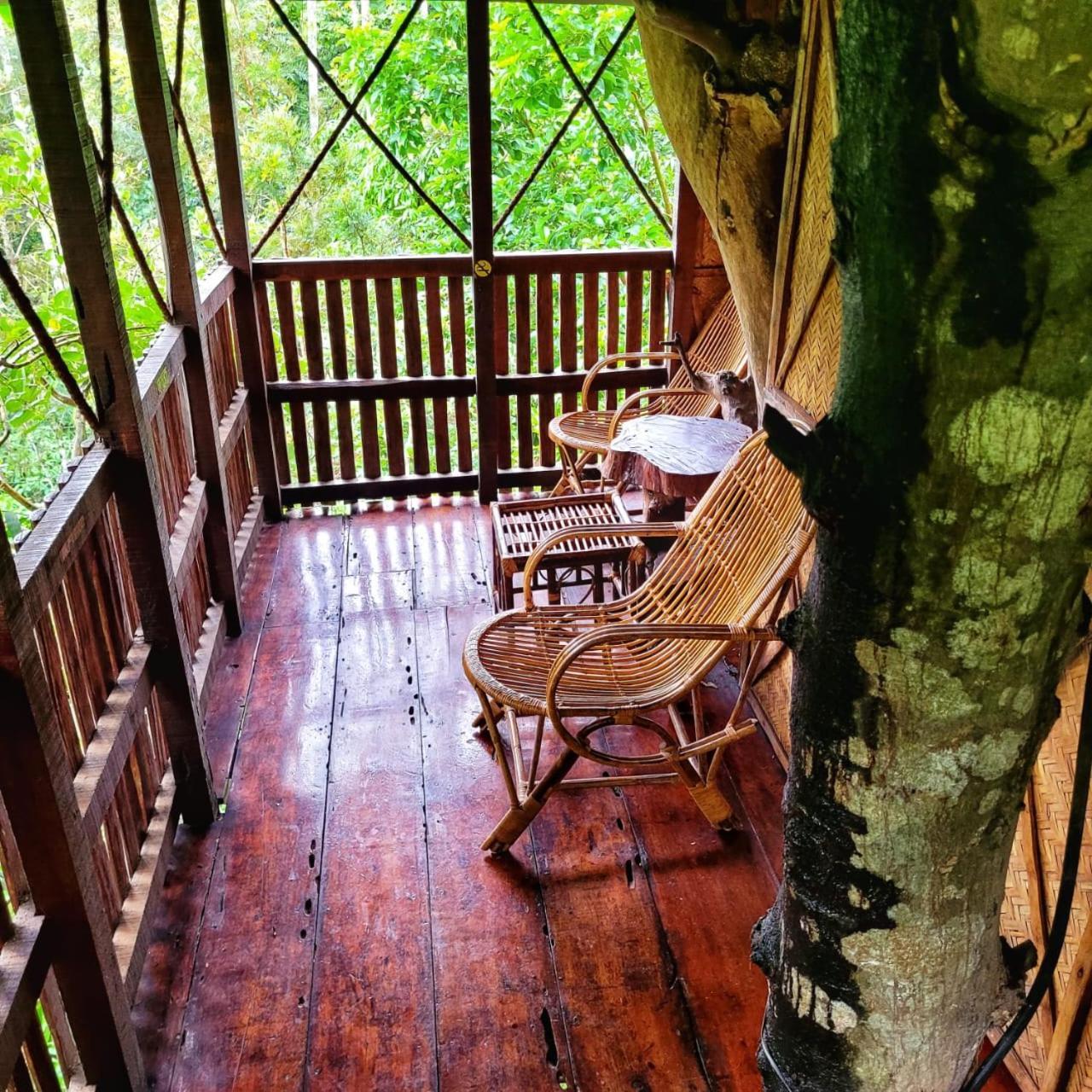 Greens Tree House & Wood House Sultan Bathery Buitenkant foto