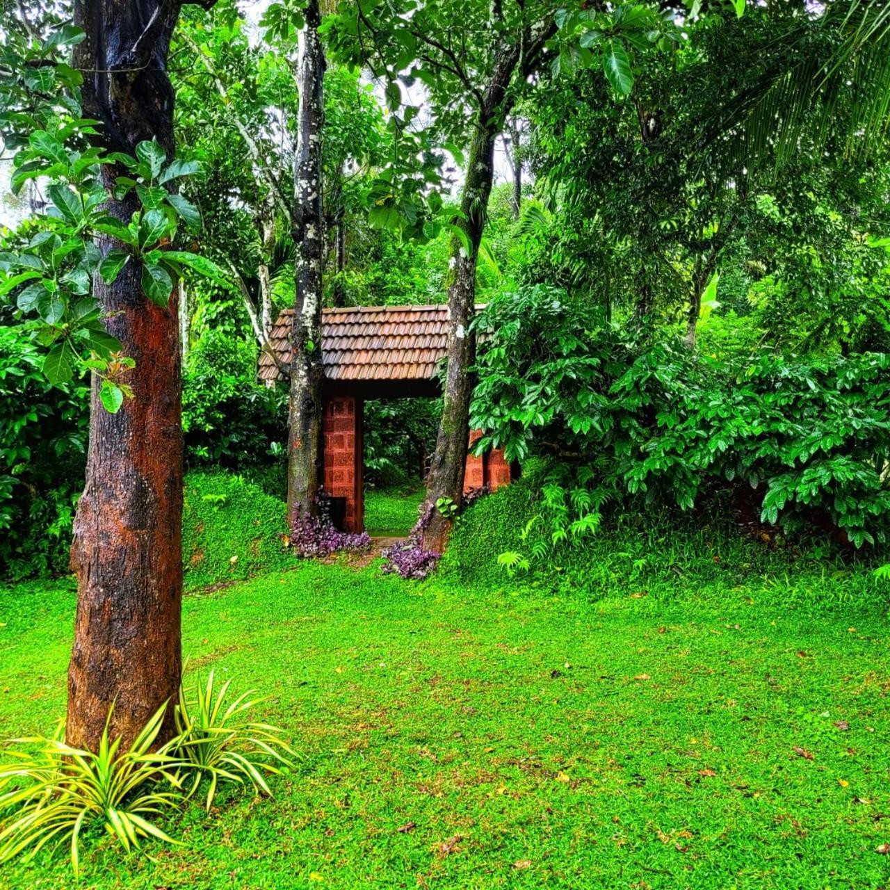 Greens Tree House & Wood House Sultan Bathery Buitenkant foto