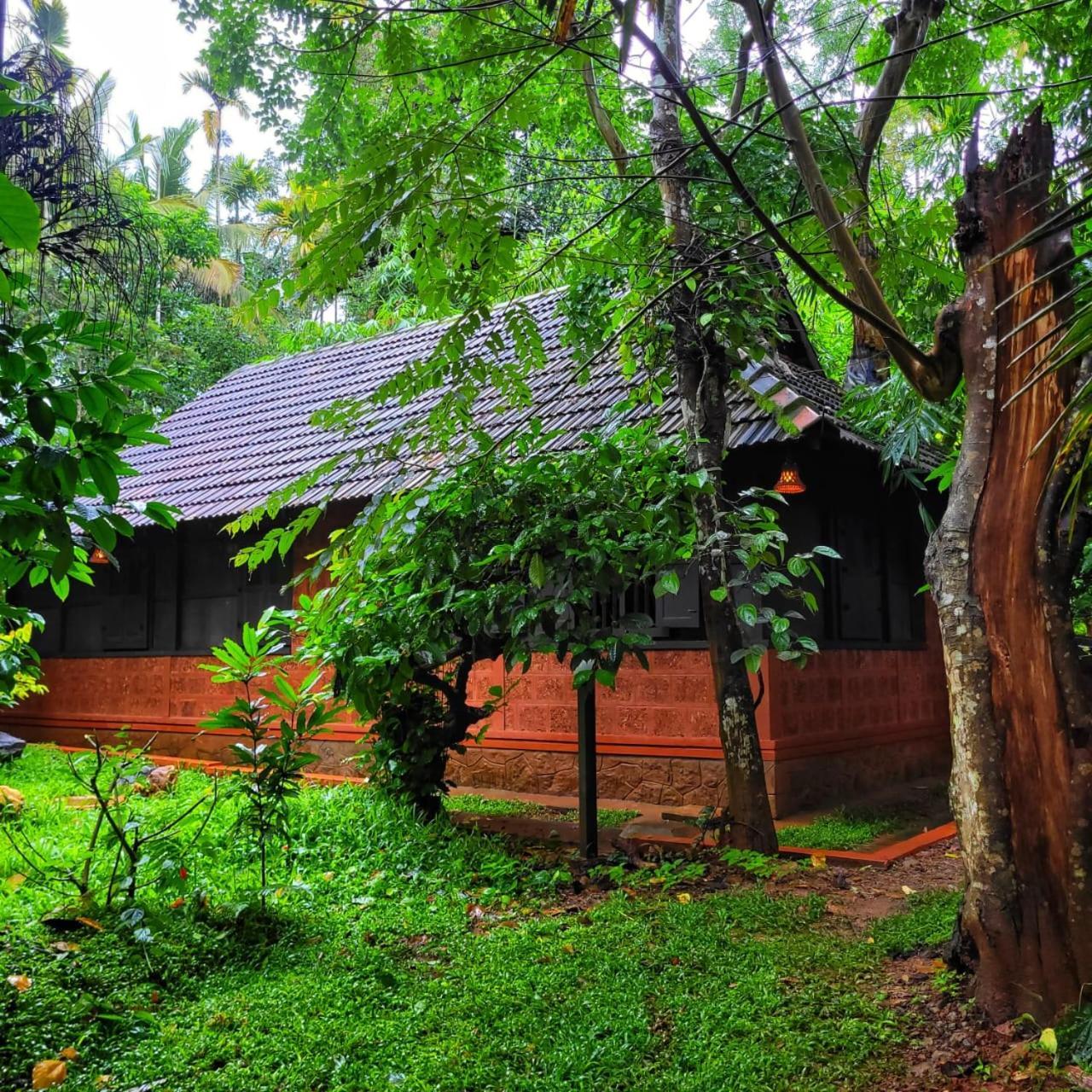 Greens Tree House & Wood House Sultan Bathery Buitenkant foto