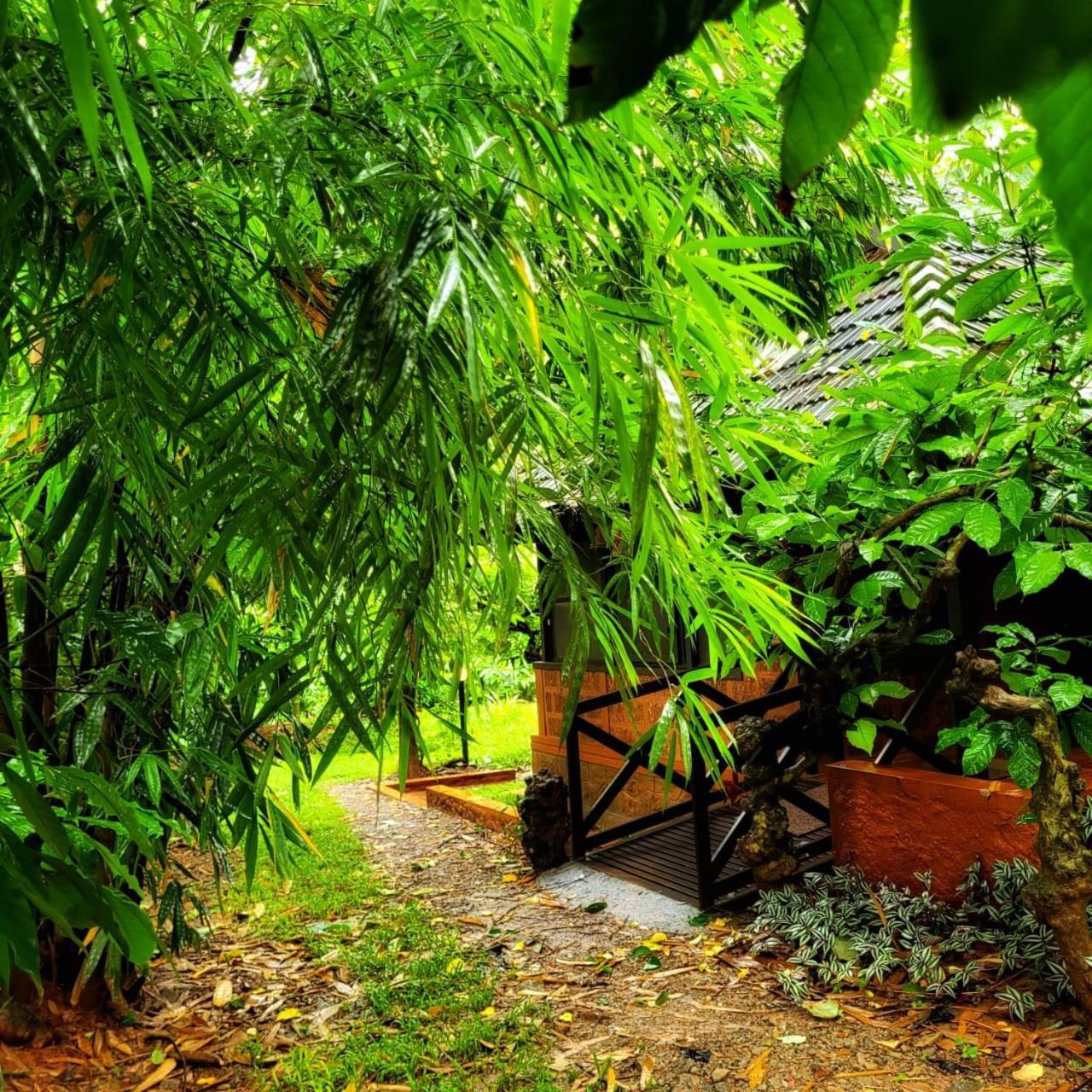 Greens Tree House & Wood House Sultan Bathery Buitenkant foto
