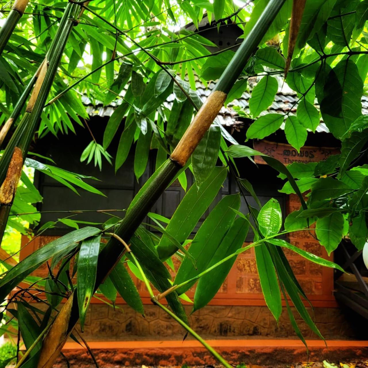 Greens Tree House & Wood House Sultan Bathery Buitenkant foto