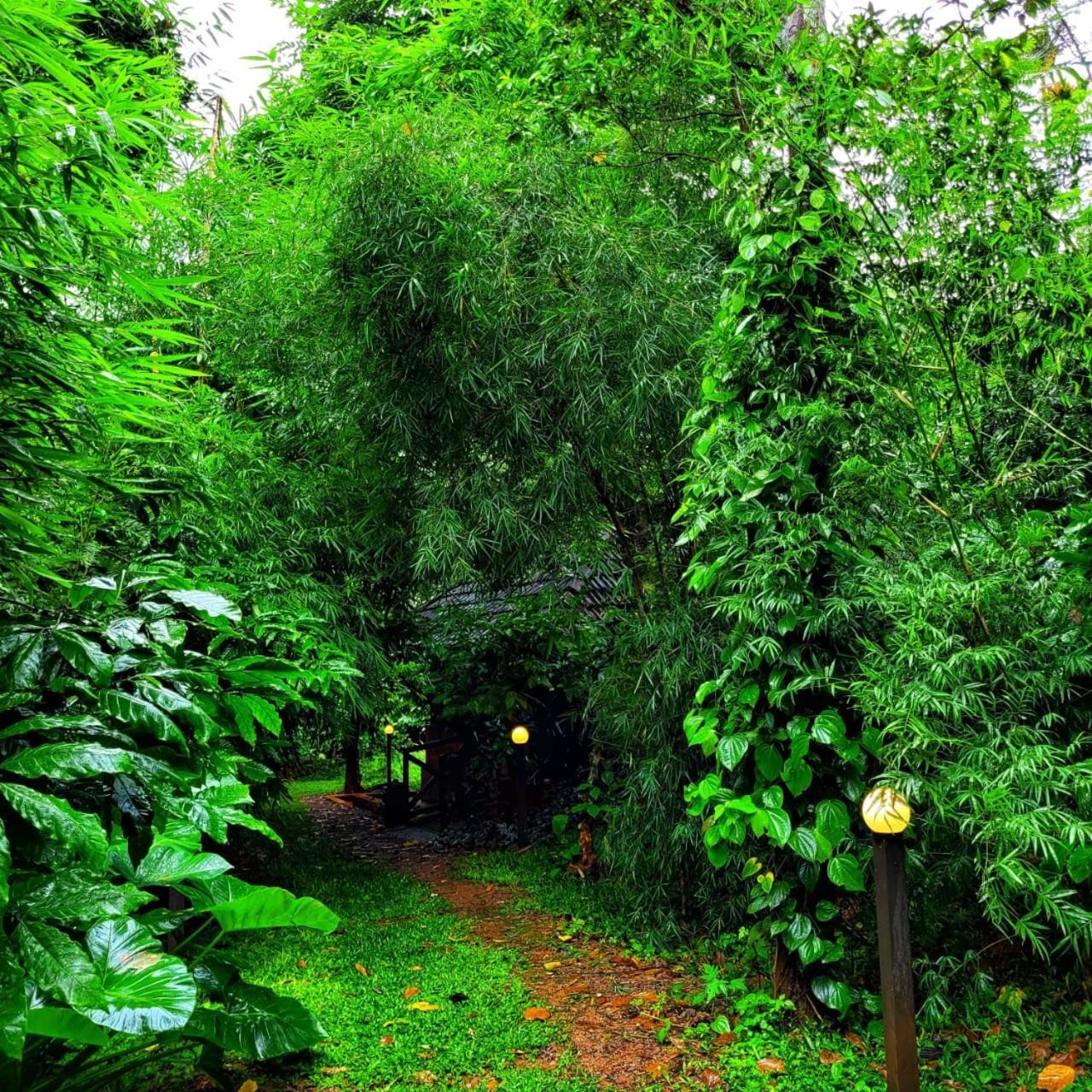 Greens Tree House & Wood House Sultan Bathery Buitenkant foto